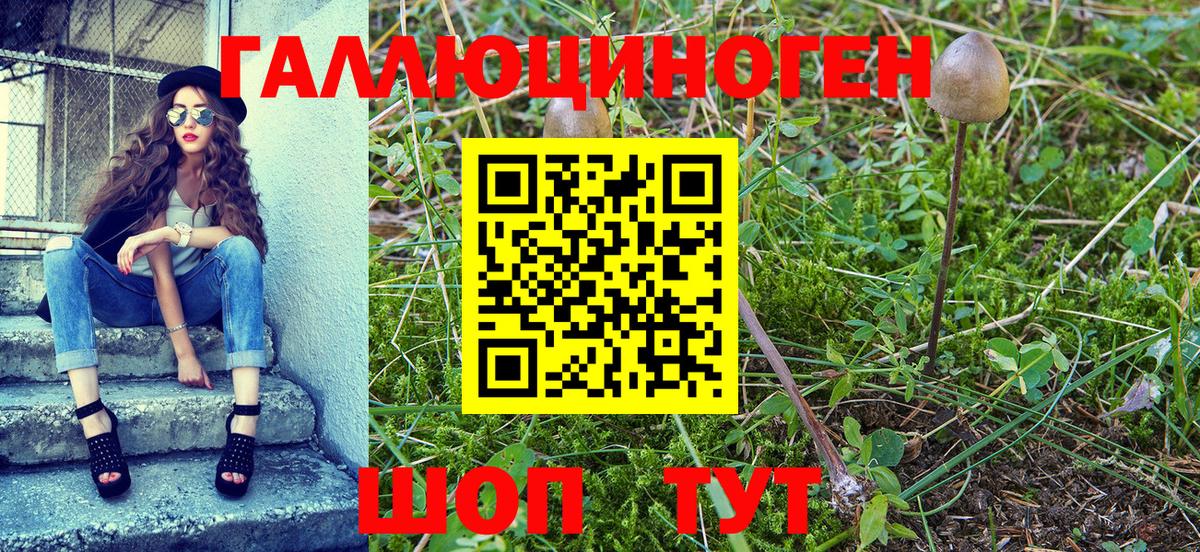 Псилоцибиновые грибы Cubensis Благодарный